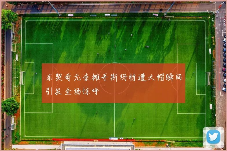 东契奇无奈摊手斯玛特遭大帽瞬间引发全场惊呼