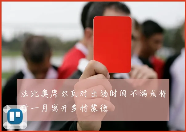 法比奥席尔瓦对出场时间不满或将于一月离开多特蒙德