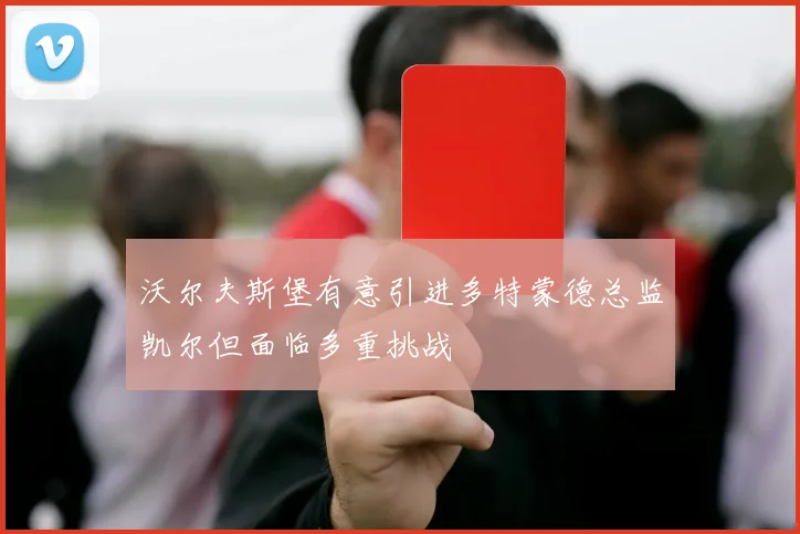 沃尔夫斯堡有意引进多特蒙德总监凯尔但面临多重挑战