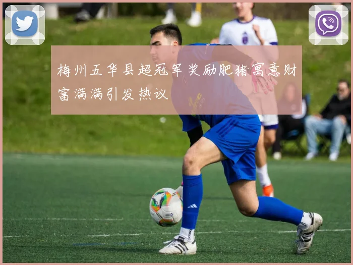 梅州五华县超冠军奖励肥猪寓意财富满满引发热议
