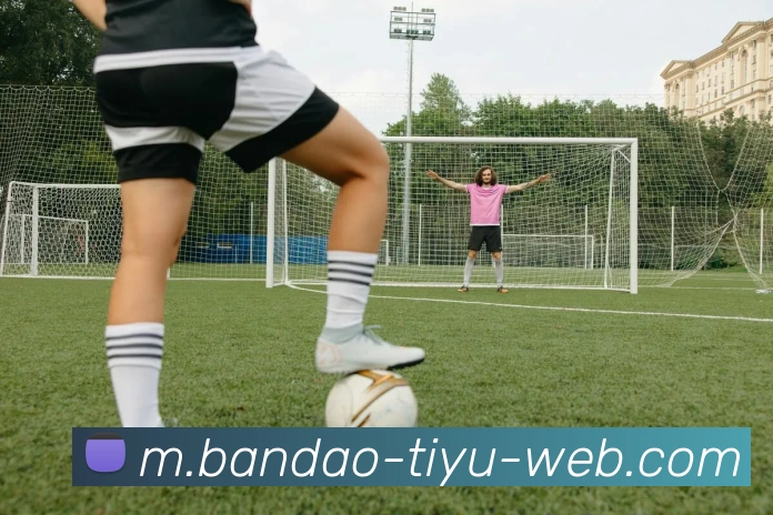 半岛体育服务体系